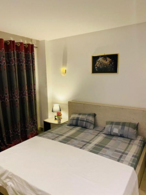 sonu guest house